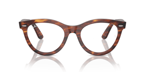 Striped Havana - 0RX2241V 8056262037874