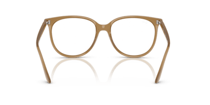 Opal Light Brown - 0RX4378V 7895653323520