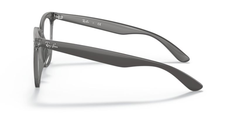 Transparent Grey - 0RX4379VD 8056597621342