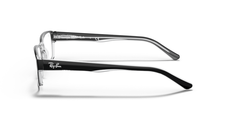 Black On Transparent - 0RX5169 805289291015