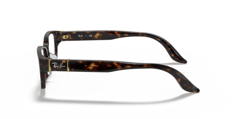 Tortoise - 0RX5198 805289352792