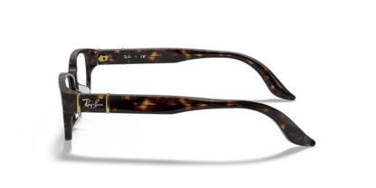 Tortoise - 0RX5198 805289352792