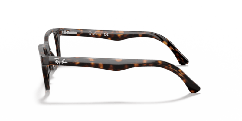 Dark Havana - 0RX5228 805289445890