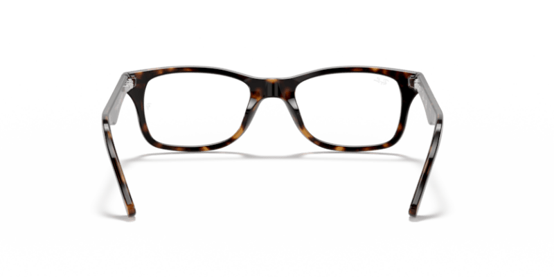 Dark Havana - 0RX5228 805289445890