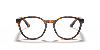 Tortoise - 0RX5380 8056597123600