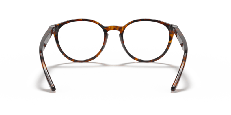 Tortoise - 0RX5380 8056597123600