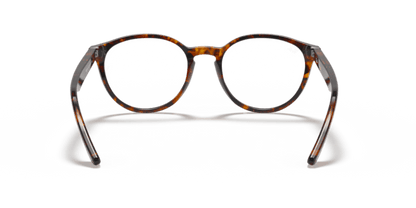 Tortoise - 0RX5380 8056597123600