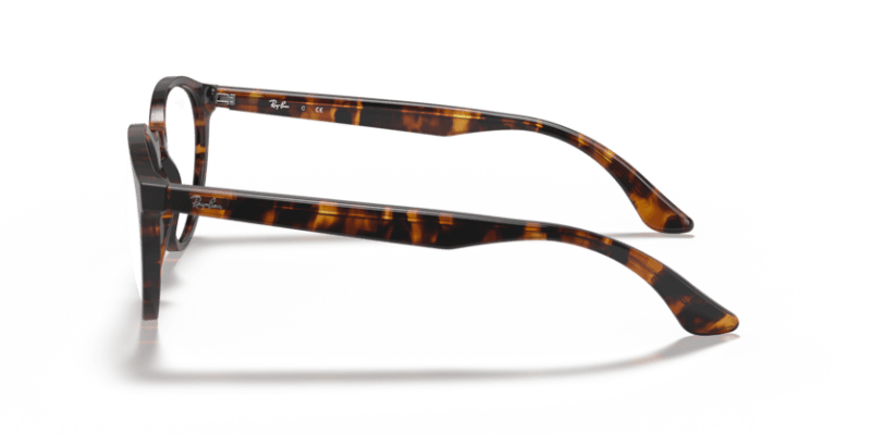 Tortoise - 0RX5380 8056597123600