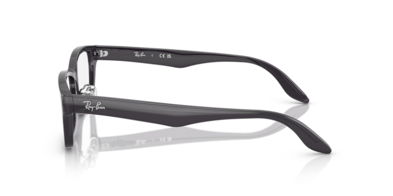 Transparent Dark Grey - 0RX5408D 8056262295694