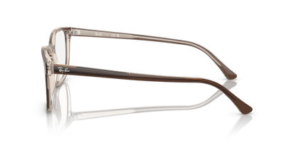 Brown On Transparent Light Brown - 0RX5418 8056262056639