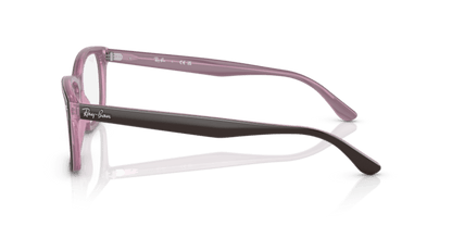 Brown On Pink - 0RX5428 8056597728553