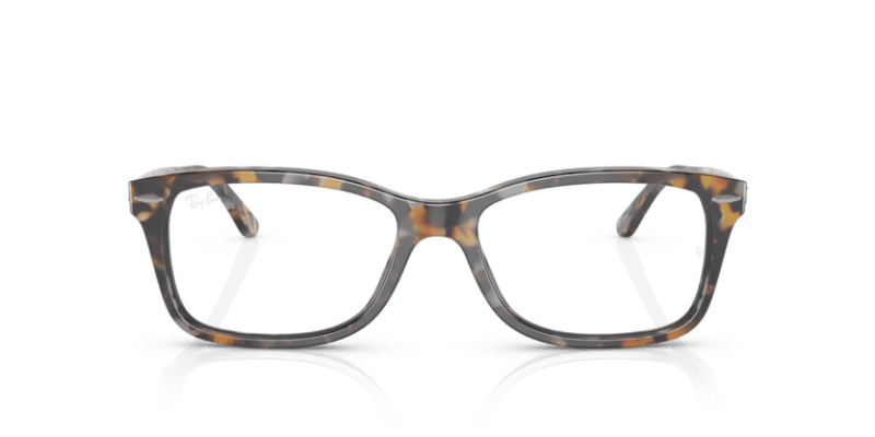 Grey & Brown Havana - 0RX5428 8056597728614