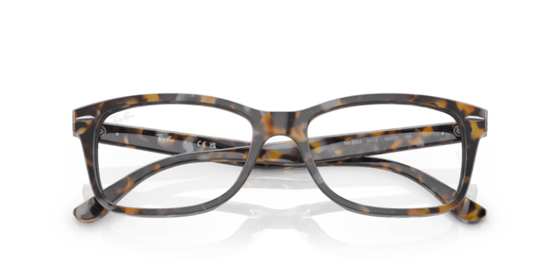 Grey & Brown Havana - 0RX5428 8056597728614