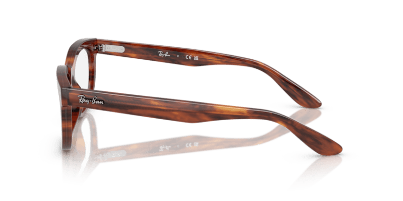 Striped Havana - 0RX5489 8056262270769