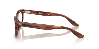 Striped Havana - 0RX5489 8056262270769