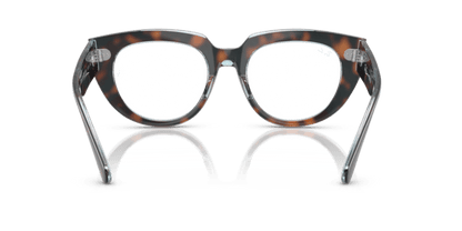 Dark Havana On Multicolour - 0RX5586 8056262268124