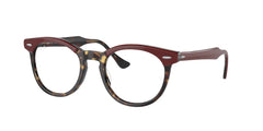 0RX5598 - Ray - Ban Vista - Tortoise - (Bordeaux On Yellow Havana 8250) - 49 - 21 - 145 MM - Ardor Eyewear 8056597827508