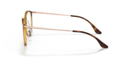 Striped Havana - 0RX7140 8053672822595