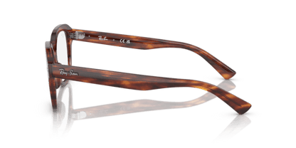 Striped Havana - 0RX7215 8056597840514