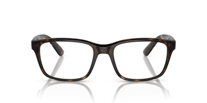 Tortoise - (Havana F686) -  8056597854054