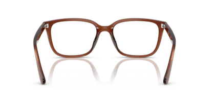 Transparent Brown - 0RX7248D 8056262268537