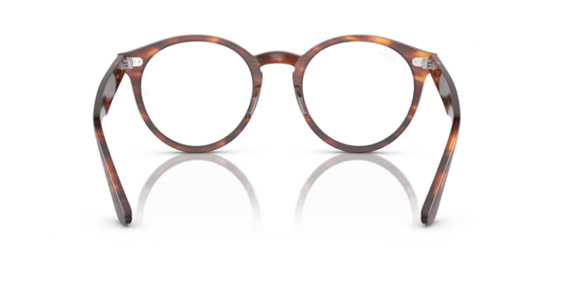 Striped Havana - 0RX7680V 8056597954488