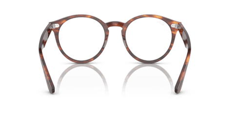 Striped Havana - 0RX7680V 8056597954488