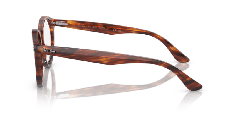 Striped Havana - 0RX7680V 8056597954488