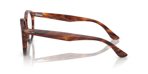 Striped Havana - 0RX7680V 8056597954488