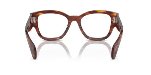 Striped Havana - 0RX7681V 8056262037683