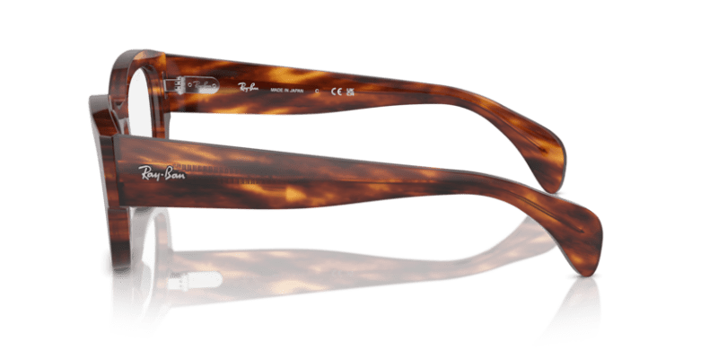 Striped Havana - 0RX7681V 8056262037683