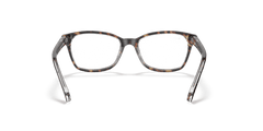 0RY1591 - Ray - Ban Junior Vista - Brown - (Havana On Transparent 3805) - 46 - 16 - 125 MM - Ardor Eyewear 8056597126113