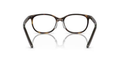 Havana - 0RY1614D 8056597849388