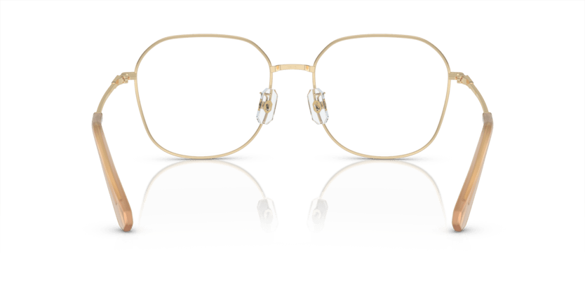 0SK1009D - Swarovski - Gold - (Pale Gold 4013) - 58 - 18 - 145 MM - Ardor Eyewear 8056597982979