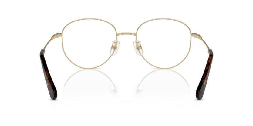 0SK1016D - Swarovski - Gold - (Pale Gold 4028) - 54 - 19 - 145 MM - Ardor Eyewear 8056262084601