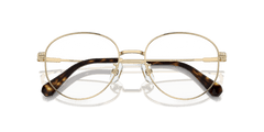 0SK1016D - Swarovski - Gold - (Pale Gold 4028) - 54 - 19 - 145 MM - Ardor Eyewear 8056262084601