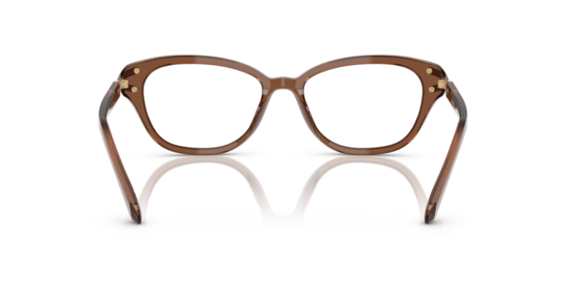 Transparent Brown - 0SK2032 8056262230671