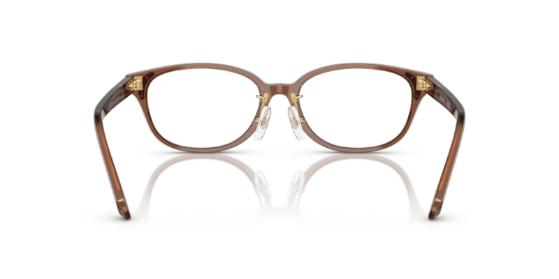 Transparent Brown - 0SK2040D 8056262243992
