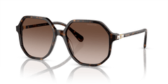 0SK6003 - Swarovski - (Havana) Brown Gradient - 57 - 16 - 140 MM - Ardor Eyewear 8056597959612