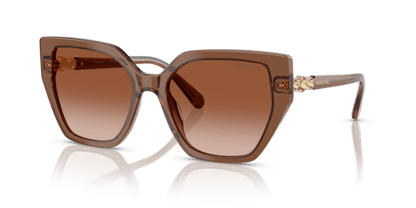 Transparent Brown - 0SK6016 8056262241691