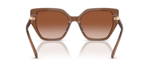 Transparent Brown - 0SK6016 8056262241691