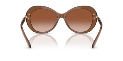 Transparent Brown - 0SK6026 8056262228449