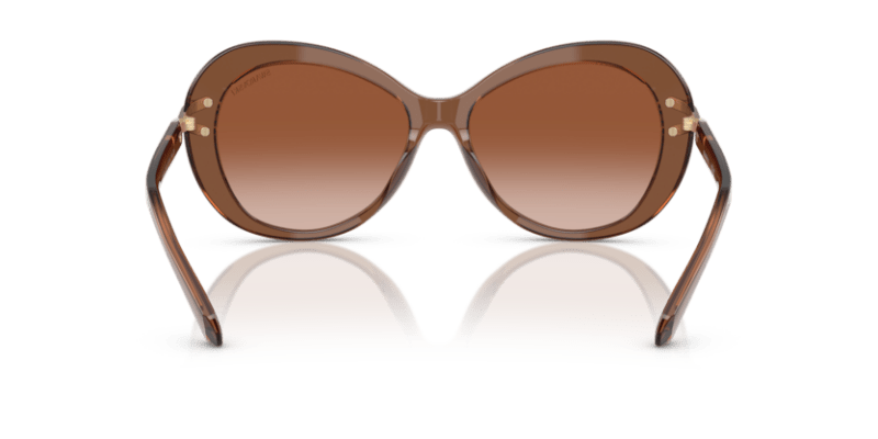 Transparent Brown - 0SK6026 8056262228449