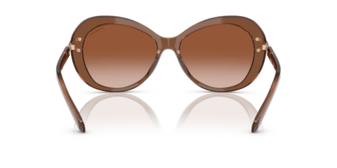 Transparent Brown - 0SK6026 8056262228449