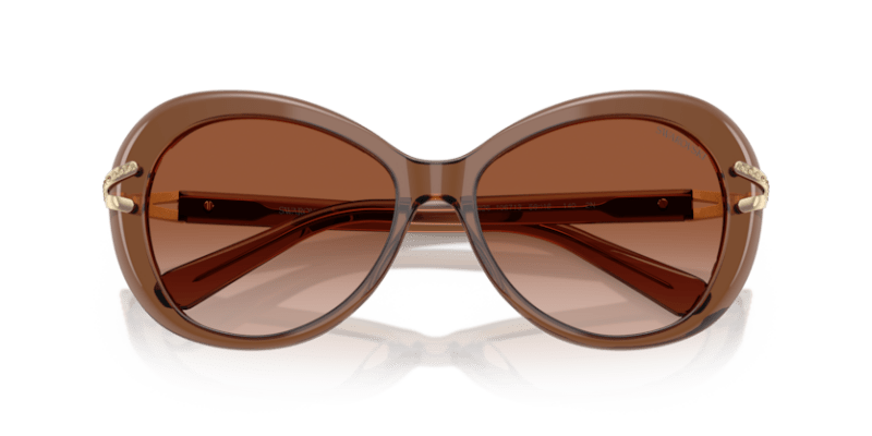 Transparent Brown - 0SK6026 8056262228449