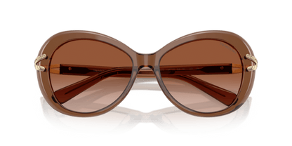 Transparent Brown - 0SK6026 8056262228449