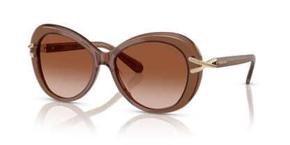 Transparent Brown - 0SK6026 8056262228449