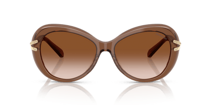 Transparent Brown - 0SK6026 8056262228449