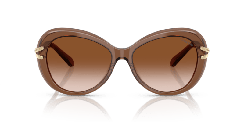 Transparent Brown - 0SK6026 8056262228449