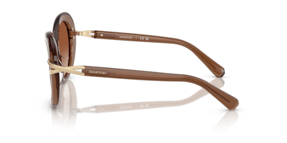 Transparent Brown - 0SK6026 8056262228449